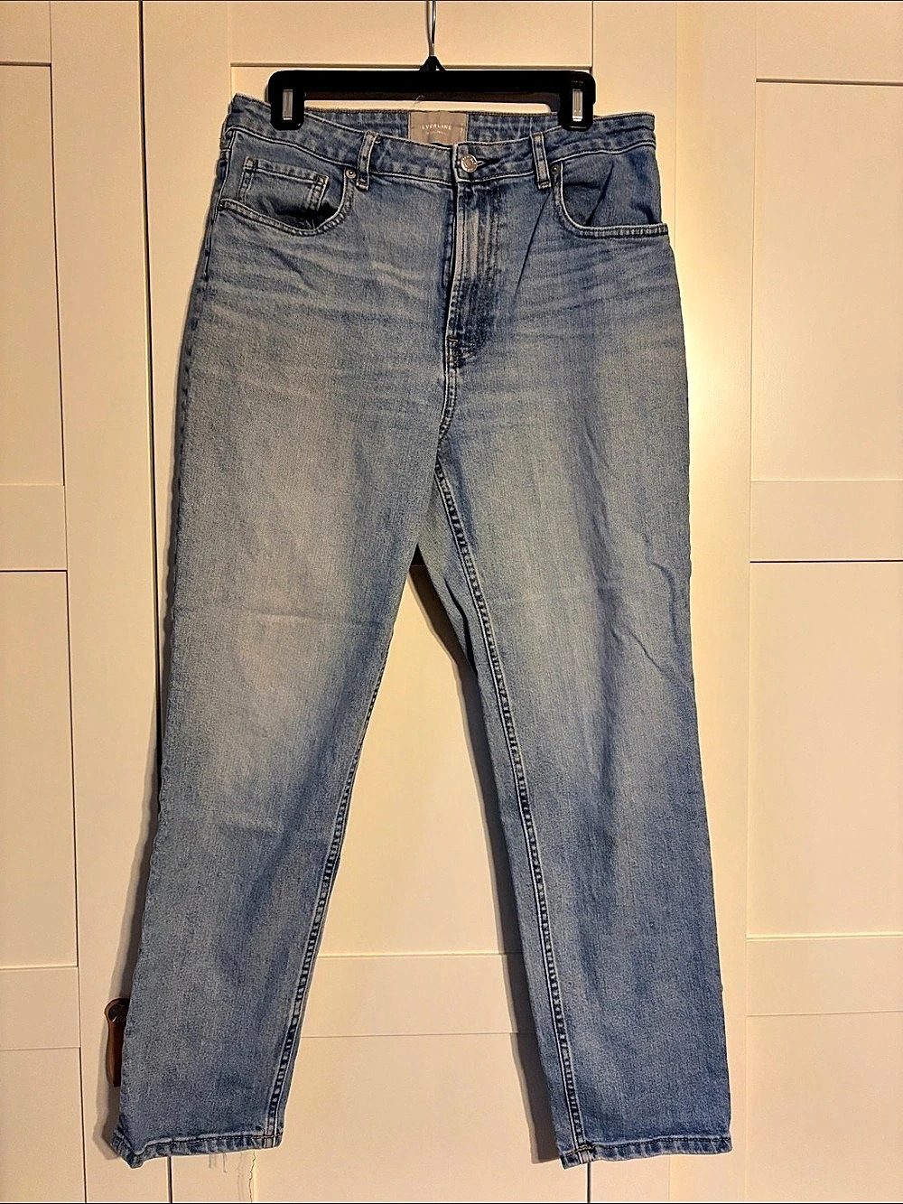 Everlane The Curvy Cheeky Blue Jeans